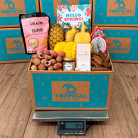 Thumbnail for TropiLuxe Premium Gift Box Specialty Box Tropical Fruit Box 