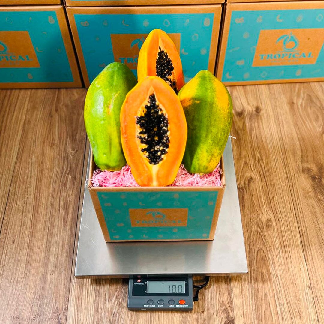 Tropical Fresh Papaya Box GoogleON Tropical Fruit Box 
