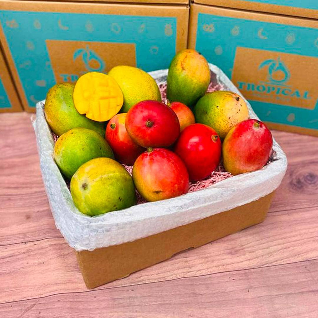 Tropical Fruit Boxes At Tropical Fruit Box Order Here Tropical