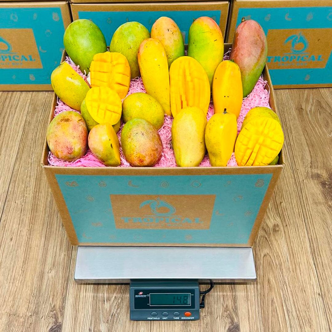 Tropical Mango Box - Order Your Fresh Tropical Mangos Online from ...