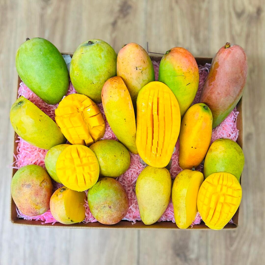 Tropical Mango Box GoogleON Tropical Fruit Box 