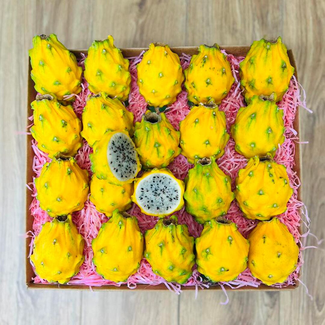 40 Yellow Dragon Fruit Seeds (Pitahaya) – Sweet, Edible Cactus, USA Grown 2024