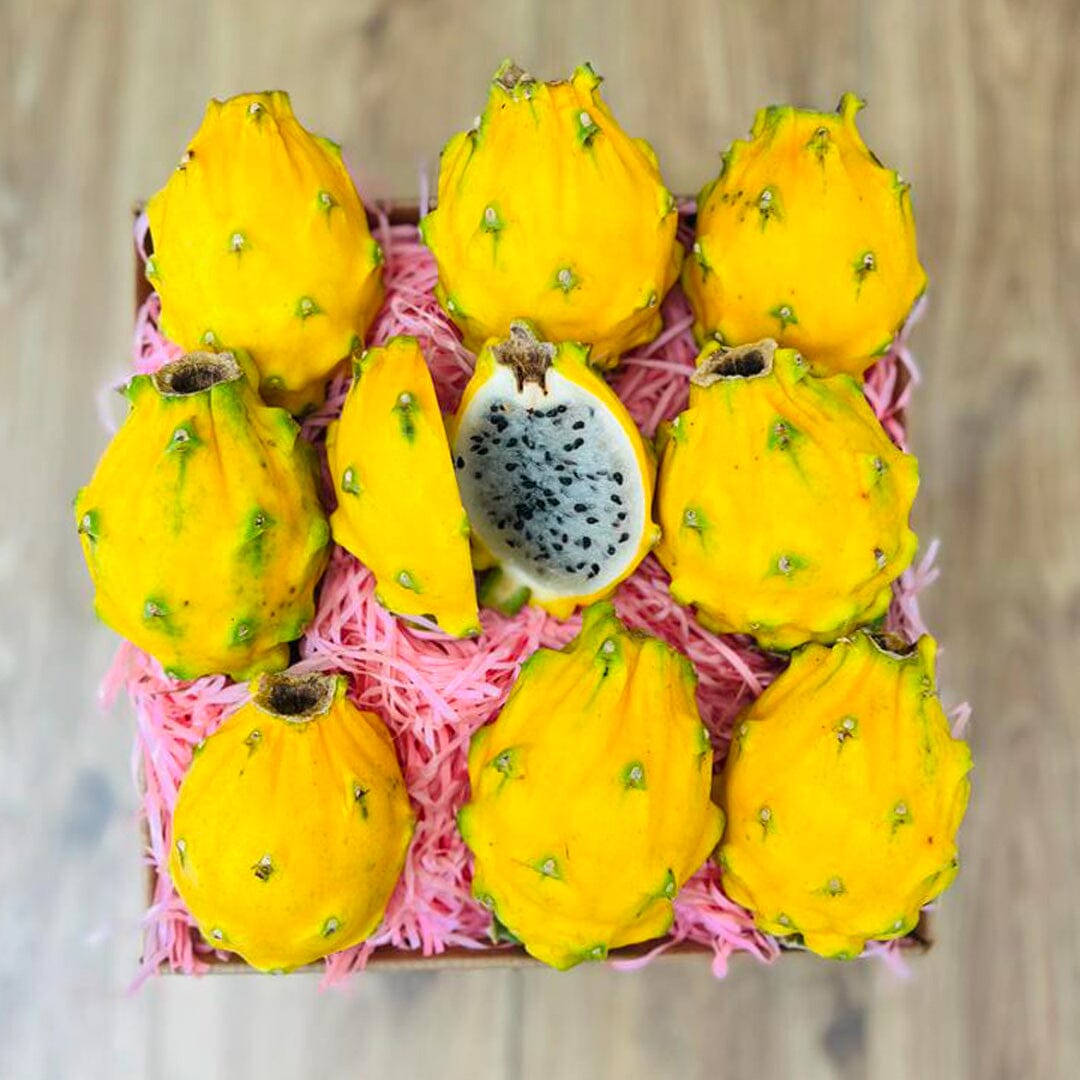 Pitaya Fruit Yellow Pitaya fruit yellow