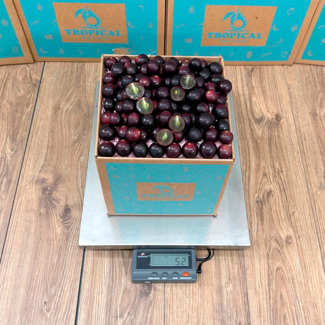 Red Muscadine Grape Box Grapes Tropical Fruit Box 