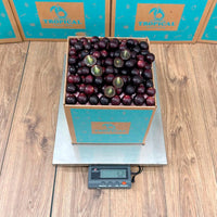 Thumbnail for Red Muscadine Grape Box Grapes Tropical Fruit Box 