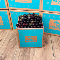 Thumbnail for Red Muscadine Grape Box Grapes Tropical Fruit Box 