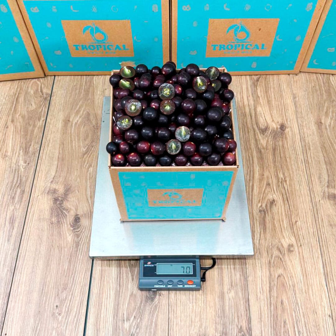 Red Muscadine Grape Box Grapes Tropical Fruit Box 