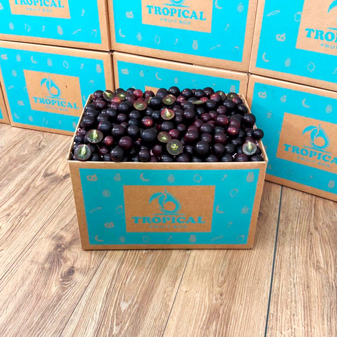 Red Muscadine Grape Box Grapes Tropical Fruit Box 