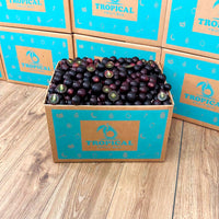 Thumbnail for Red Muscadine Grape Box Grapes Tropical Fruit Box 
