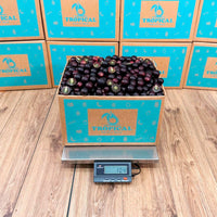 Thumbnail for Red Muscadine Grape Box Grapes Tropical Fruit Box 