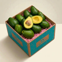 Thumbnail for Tropical Avocado Box GoogleON Tropical Fruit Box Large (8ct) 