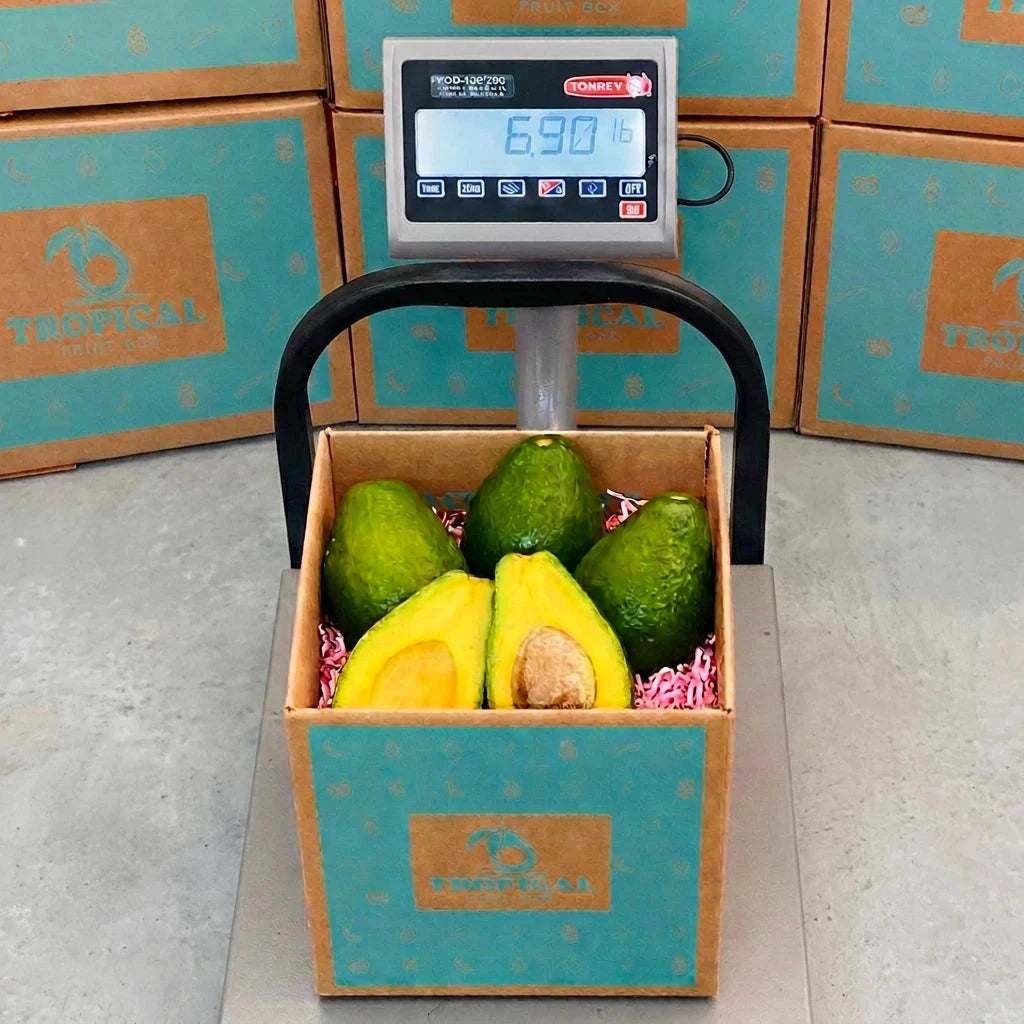 Tropical Avocado Box GoogleON Tropical Fruit Box 