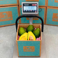 Thumbnail for Tropical Avocado Box GoogleON Tropical Fruit Box 