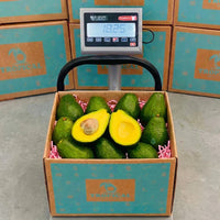 Thumbnail for Tropical Avocado Box GoogleON Tropical Fruit Box 
