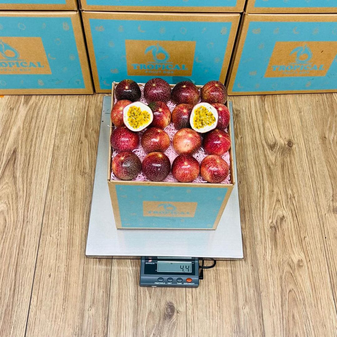 Passion Fruit Box GoogleON Tropical Fruit Box 
