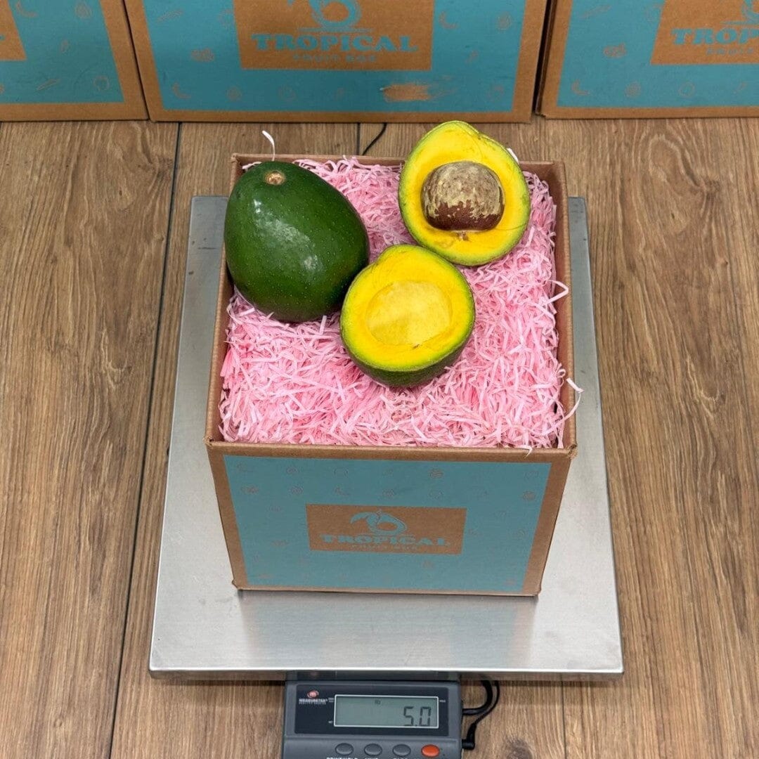 Tropical Fruit Box 2 ripe avocados, one whole and one halved, in a box with pink crinkle paper on a scale.