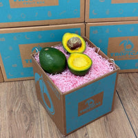 Thumbnail for Tropical Fruit Box avocados, one whole and one halved, showcasing vibrant green skin and creamy yellow flesh.