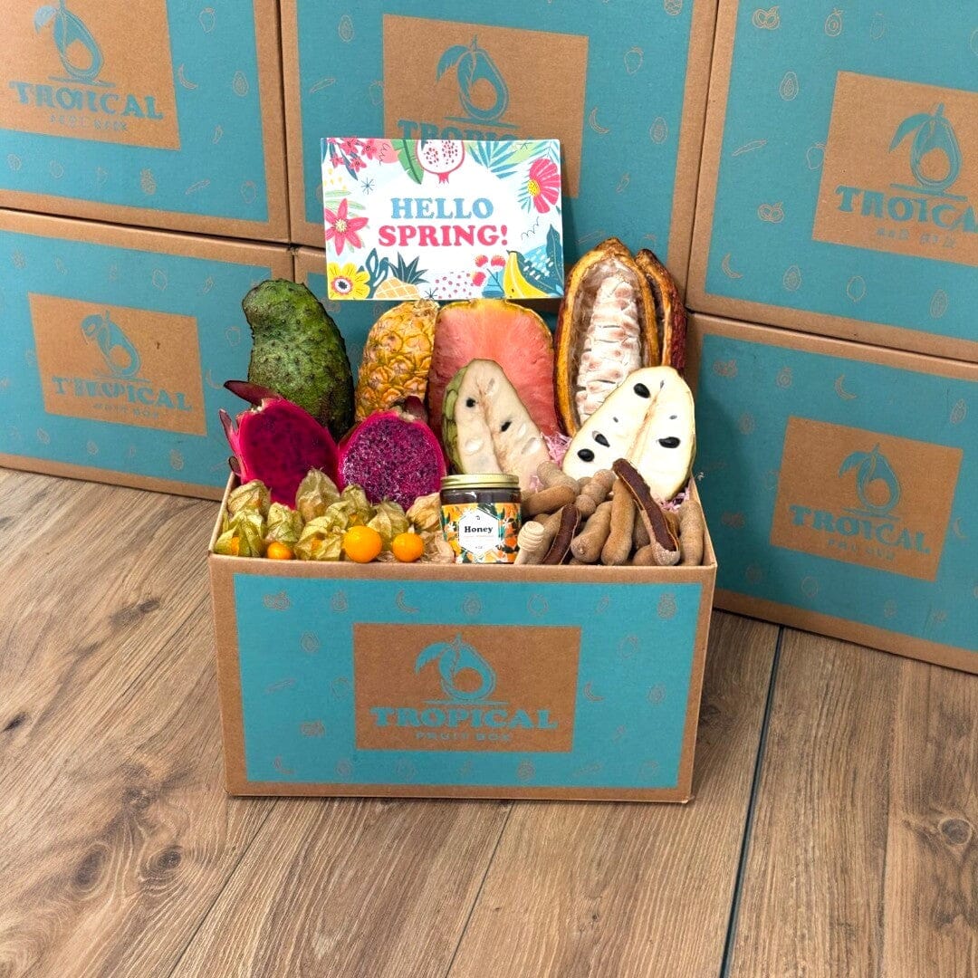 Tropical Fruit Box exotic fruit assortment including dragon fruit, pineapple, soursop, cherimoya, tamarind, and honey.