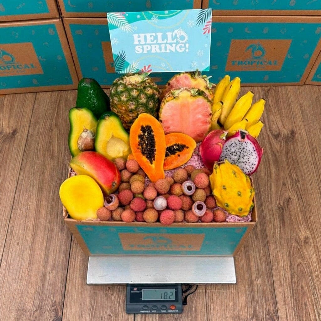 Tropical Fruit Box assortment with mango, pink pineapple, papaya, lychee, dragon fruit, yellow dragon fruit, bananas, and avocado.