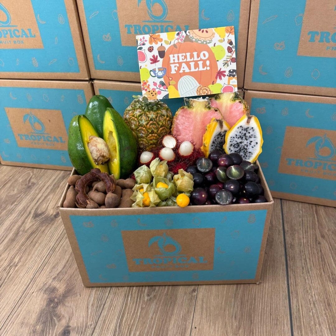 Tropical Fruit Box Fall Feast gift box filled with pink pineapple, dragon fruit, avocado, longans, and golden berries.