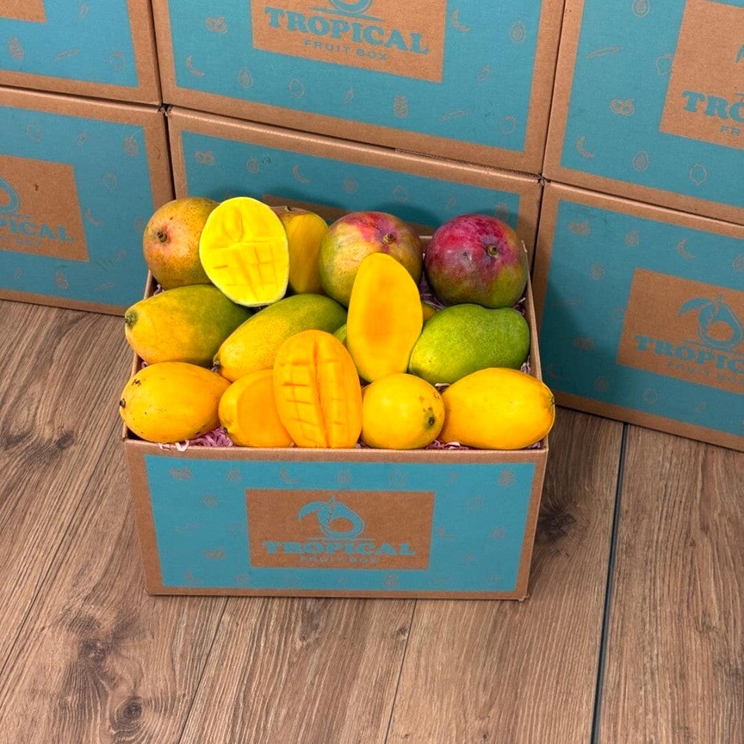 Tropical Fruit Box with 12-15 ripe mangoes in various colors including yellow, green, and red. Some mangoes are whole, and some are cut to show the juicy flesh.