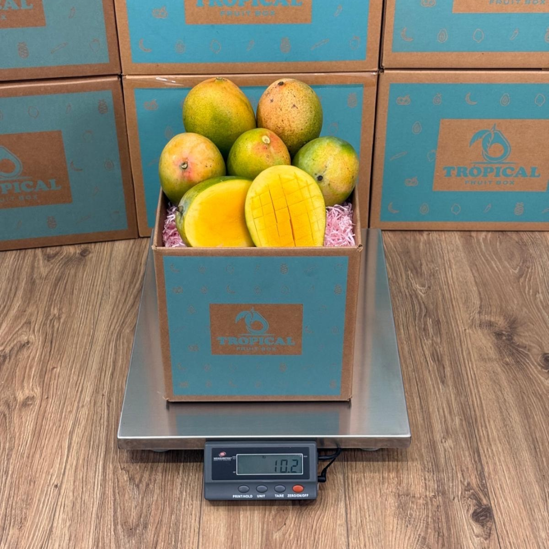 Tropical Fruit Box Kent mangoes with smooth greenish-yellow skin and juicy orange flesh in a branded shipping box.