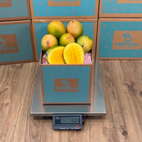 Thumbnail for Tropical Fruit Box Kent mangoes with smooth greenish-yellow skin and juicy orange flesh in a branded shipping box.