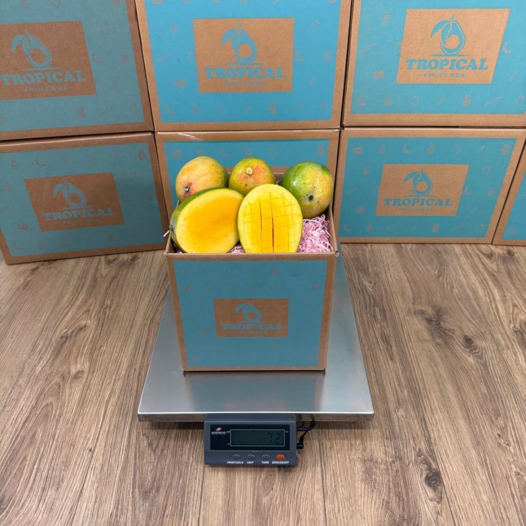 Tropical Fruit Box Kent mangoes in a branded cardboard box on a digital scale with sliced fruit showing orange flesh