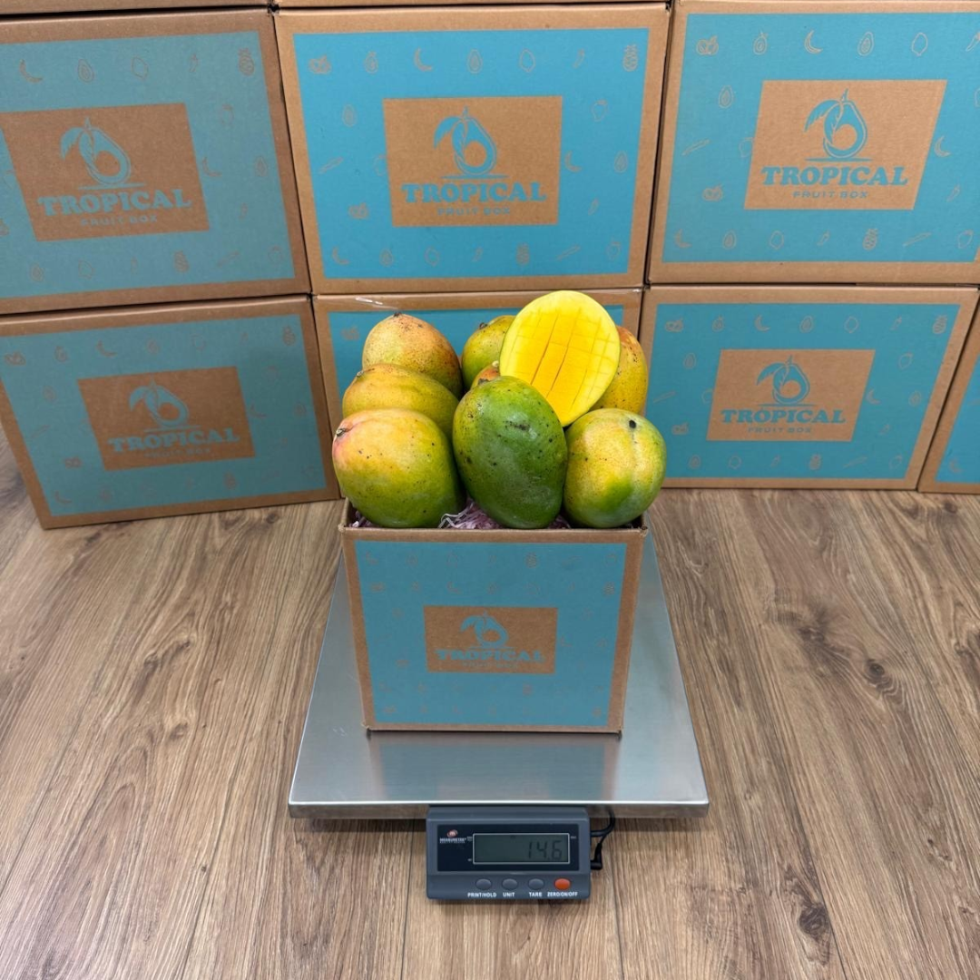 Tropical Fruit Box Kent mangoes with one sliced open, showing vibrant orange flesh, sitting on a digital scale.