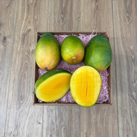 Thumbnail for Tropical Fruit Box Kent mangoes with greenish-yellow skin and vibrant orange, fiberless flesh in a gift box.