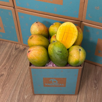 Thumbnail for Tropical Fruit Box Kent mangoes with greenish-yellow skin and one sliced half showing juicy orange flesh in a box