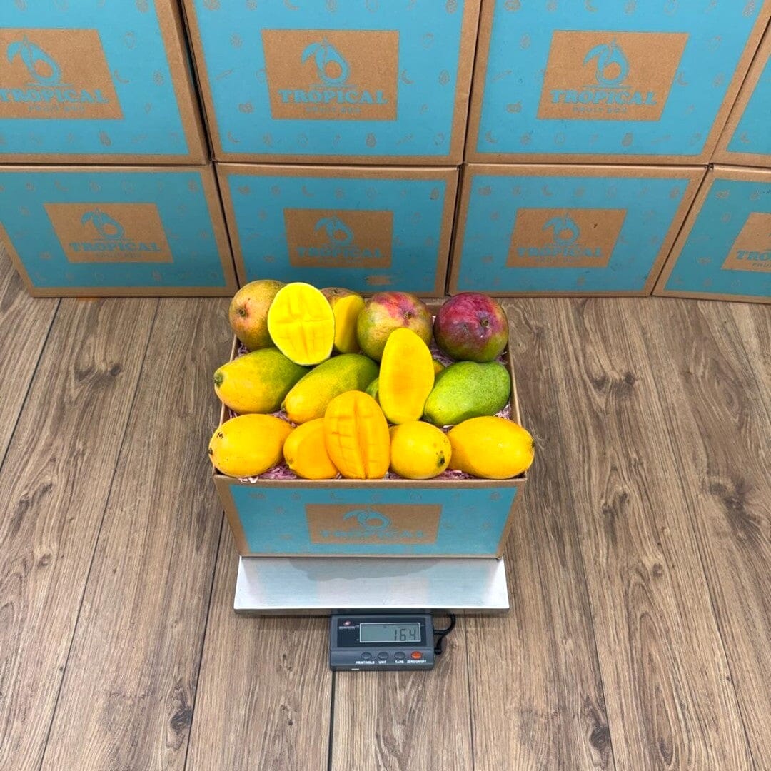 Tropical Fruit Box with a variety of ripe mangoes, including yellow, green, and red varieties. One mango is sliced open showing its vibrant orange flesh.