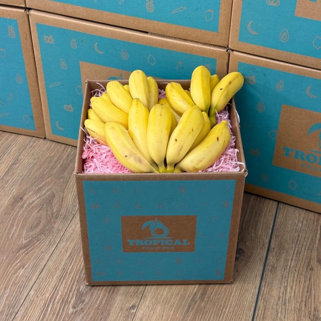 Tropical Fruit Box Manzano bananas, 3 lb box, yellow, creamy texture, sweet and bright flavor with hints of apple and strawberry.