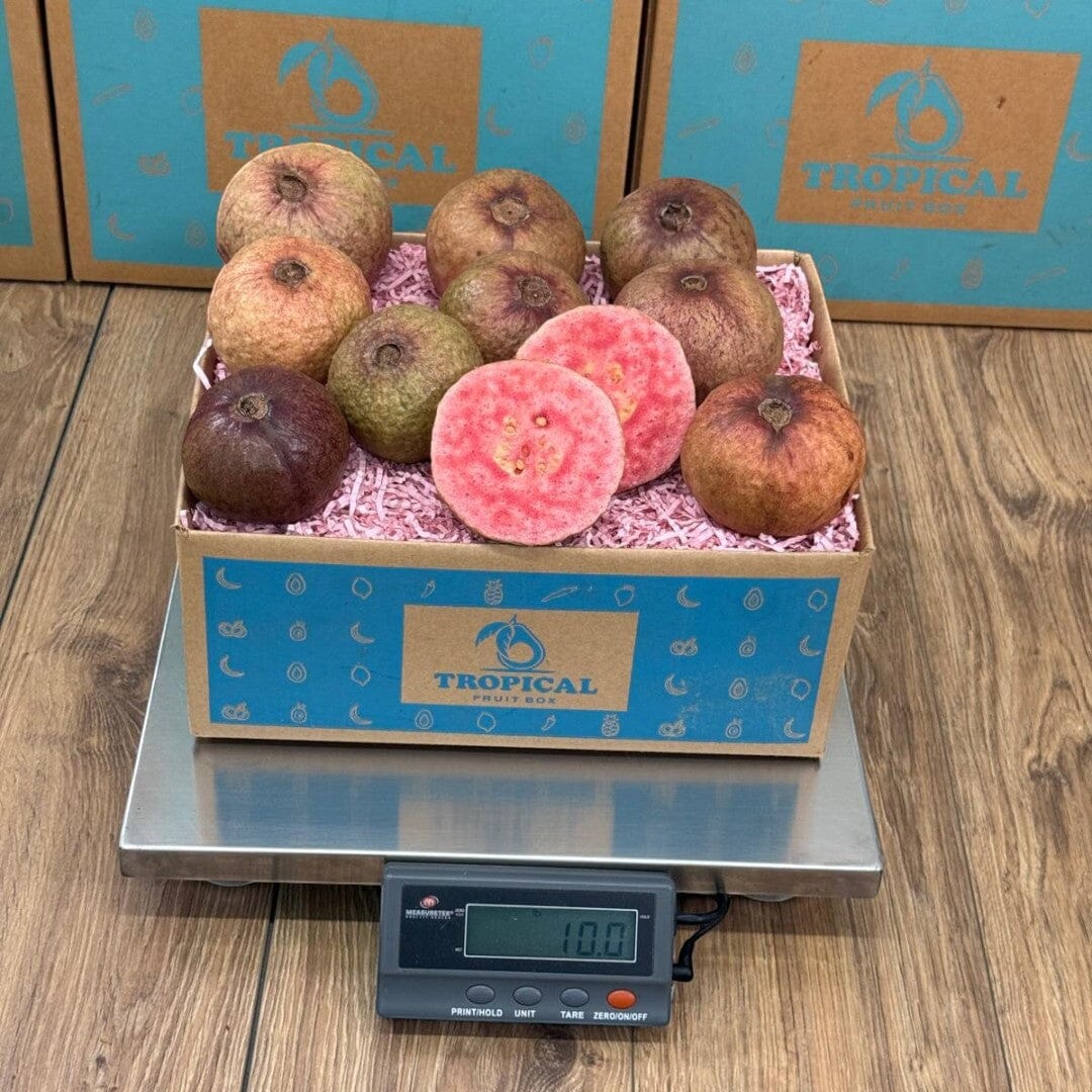 Tropical Fruit Box Purple Guava, a rare tropical fruit with vibrant purple skin and pink flesh, perfect for snacking or smoothies.