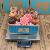 Thumbnail for Tropical Fruit Box Purple Guava, a rare tropical fruit with vibrant purple skin and pink flesh, perfect for snacking or smoothies.