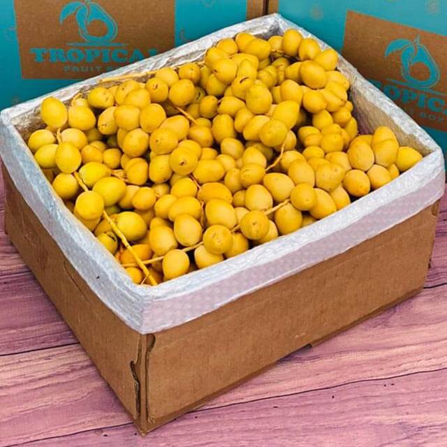 Yellow Barhi Dates BoxLarge (12 Pounds) 