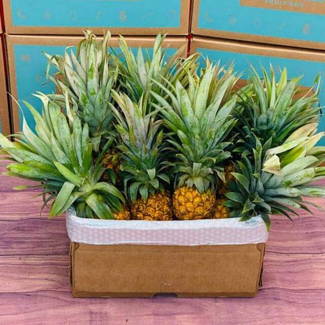 Sweet Baby Pineapple Box 