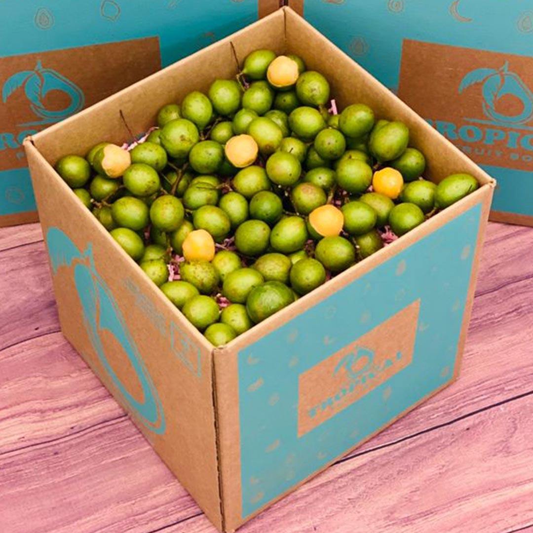 Spanish Limes | Mamoncillos | Guineps | Quenepas BoxSmall (3 Pounds) 