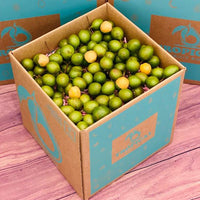 Thumbnail for Spanish Limes | Mamoncillos | Guineps | Quenepas BoxSmall (3 Pounds) 
