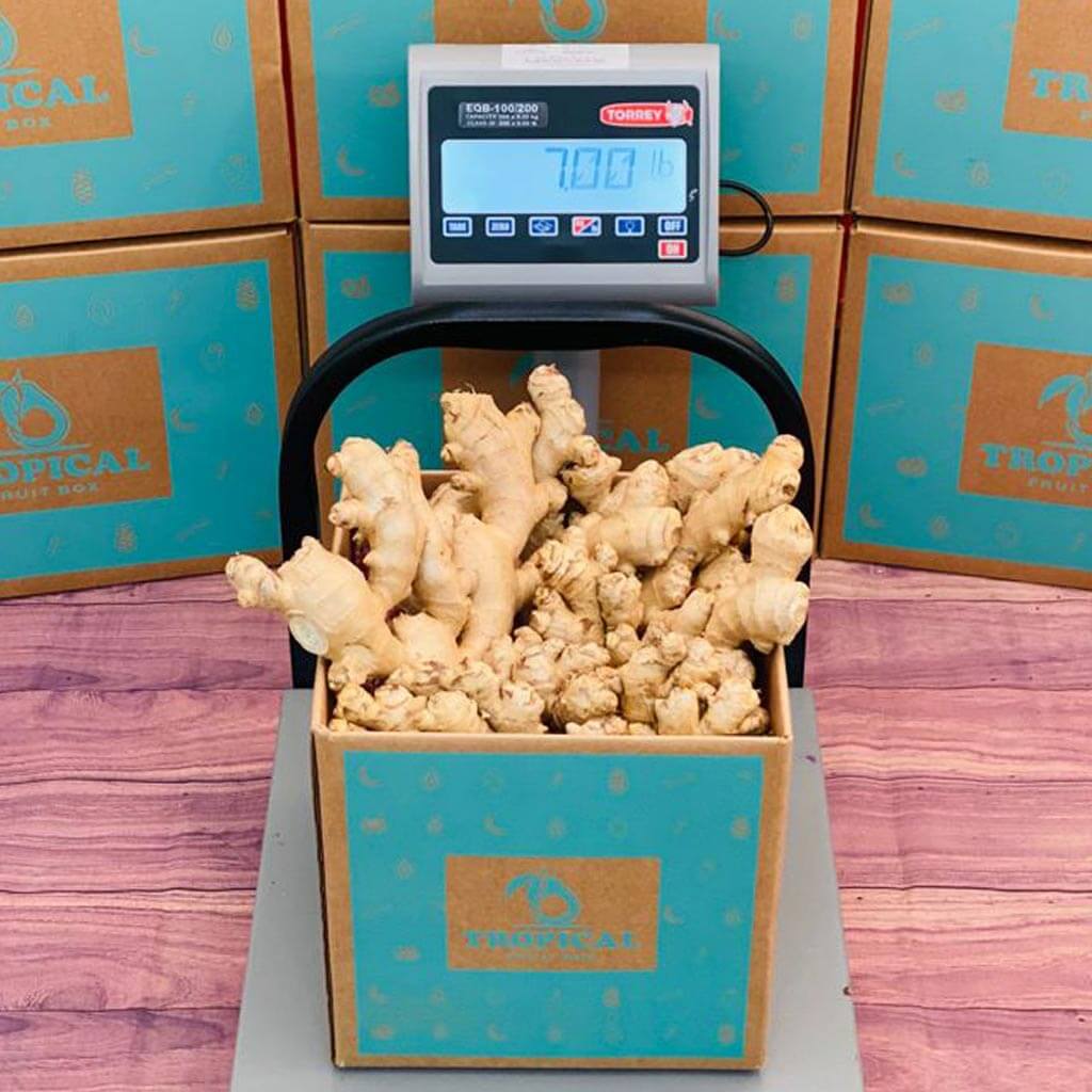 Ginger For Sale on a Scale