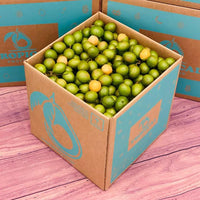Thumbnail for Spanish Limes | Mamoncillos | Guineps | Quenepas BoxRegular (5 Pounds) 