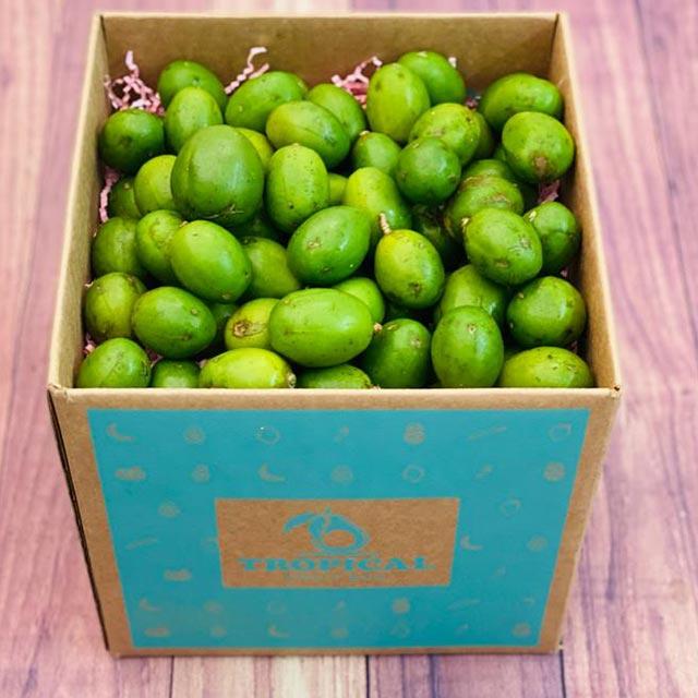 Box of 3 Pounds of June Plum