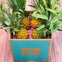 Thumbnail for Sweet Baby Pineapple Box 