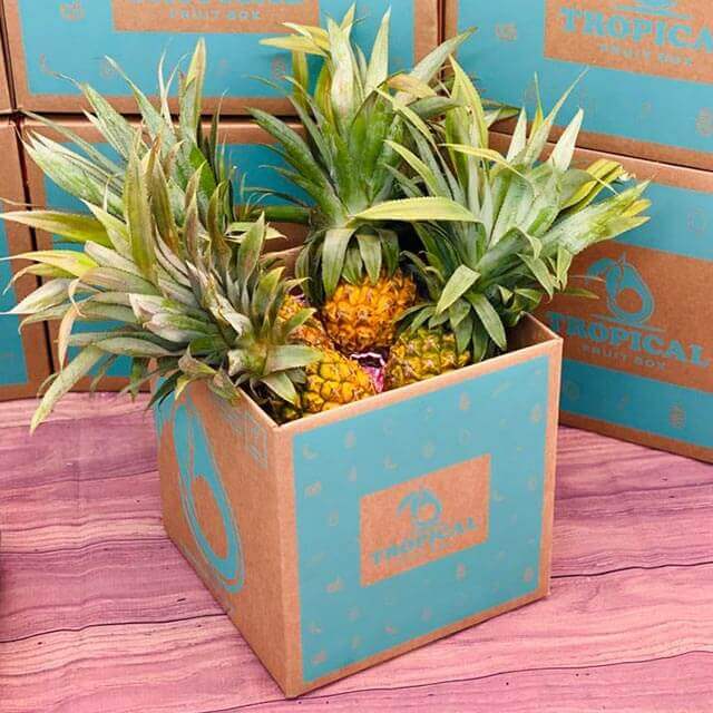 Sweet Baby Pineapple BoxSmall (4 Baby Pineapples) 