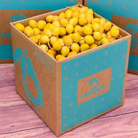 Thumbnail for Yellow Barhi Dates BoxSmall (5 Pounds) 