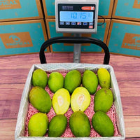 Thumbnail for Green Mangoes For Sale at Tropical Fruit Box