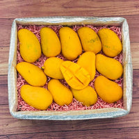 Thumbnail for Ataulfo Mango Box No Google Tropical Fruit Box Regular (8 Pounds) 