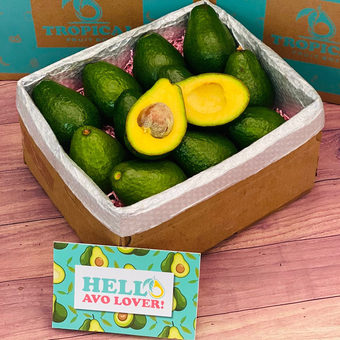 Large Box of Tropical Avocados Green Skin