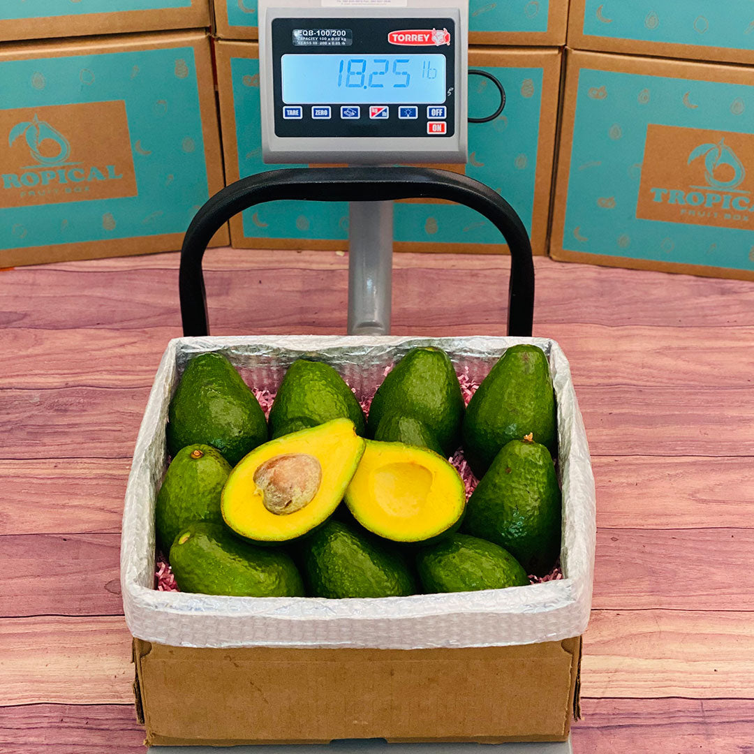 Large Box of Tropical Avocados on a Scale