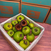 Thumbnail for Black Sapote Box Specialty Box Tropical Fruit Box Large 8 Pound Box 